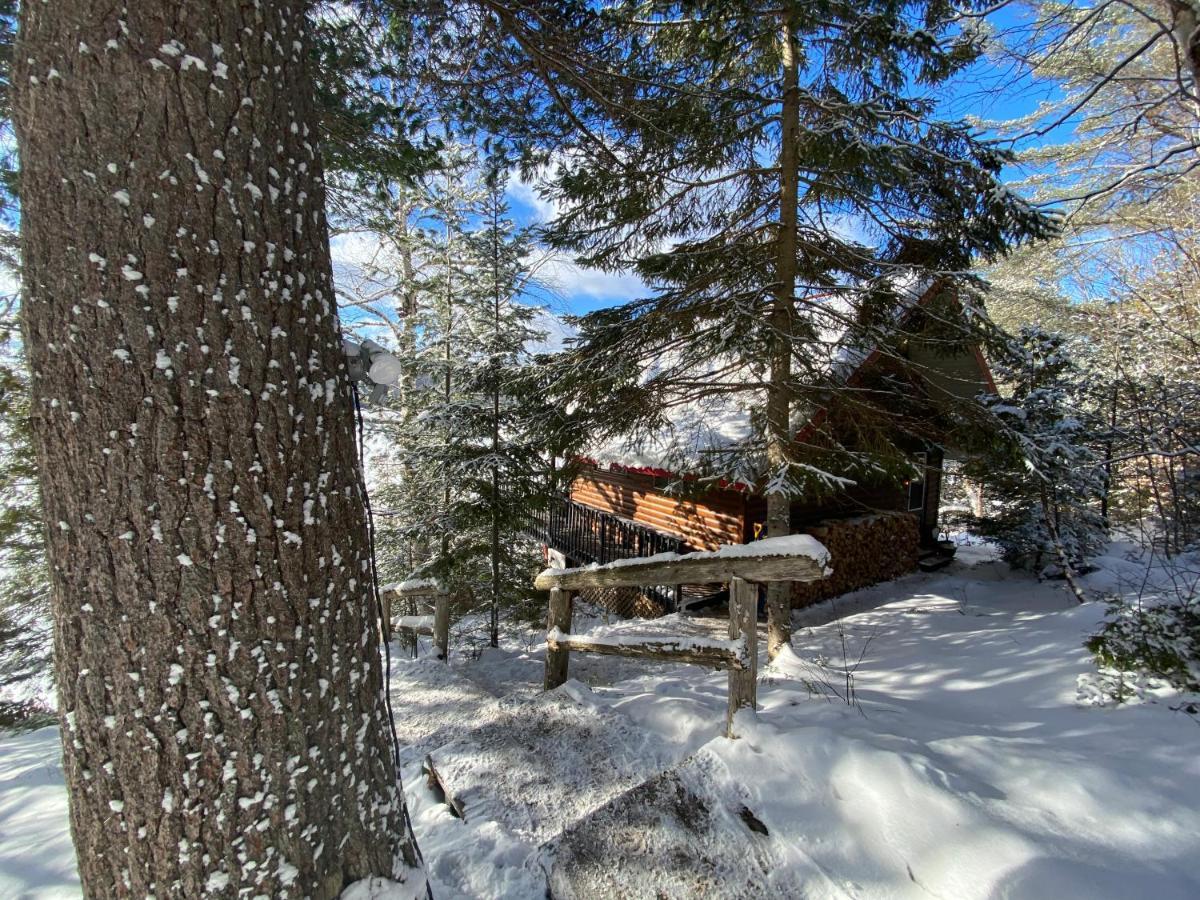 Le Petit Sur Le Chalet *